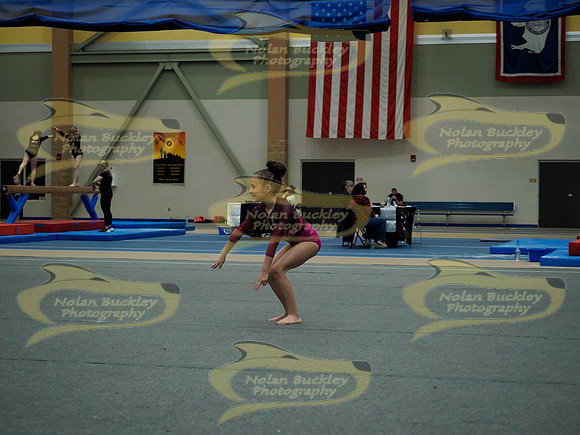 _3157681