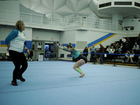 _C060435