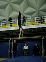 Magic City Gymnastics