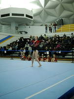 _C063278
