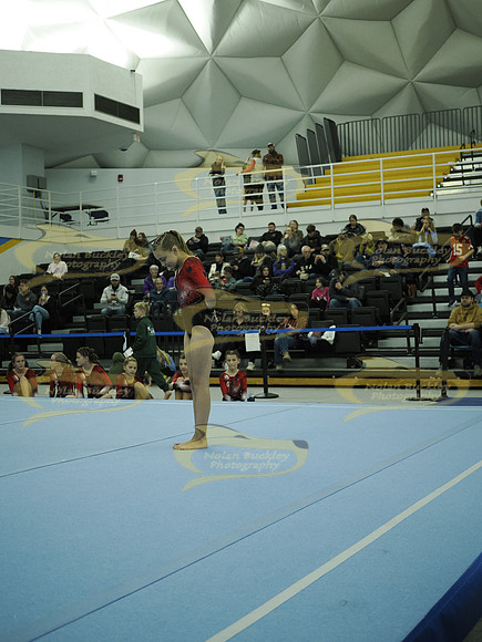 _C063395
