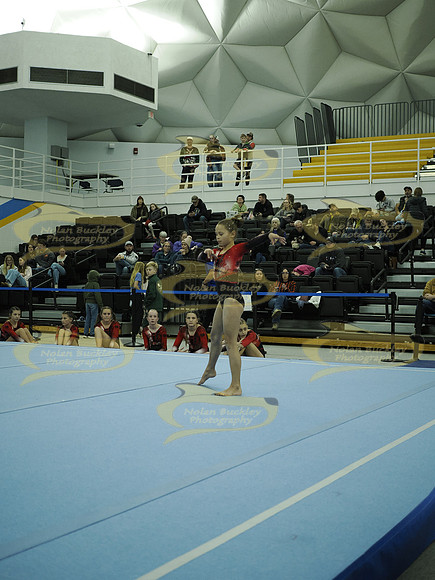 _C063660