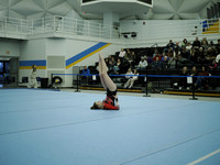 _C060241