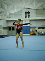 Next level Gymnastics