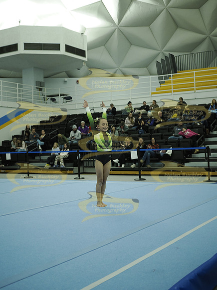 _C064419