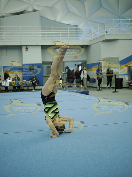 _C076264