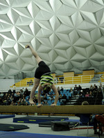 _C071466