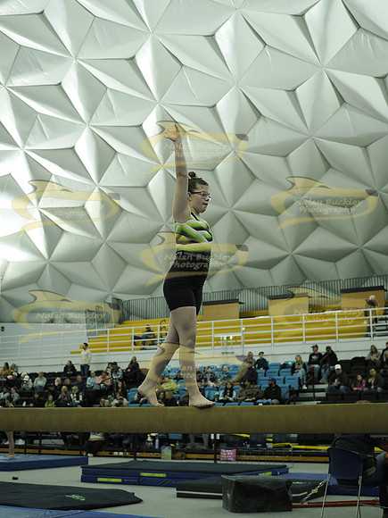 _C071474