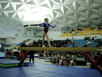 Panhandle Gymnastics