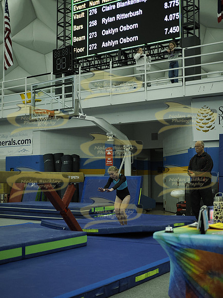 _C061490