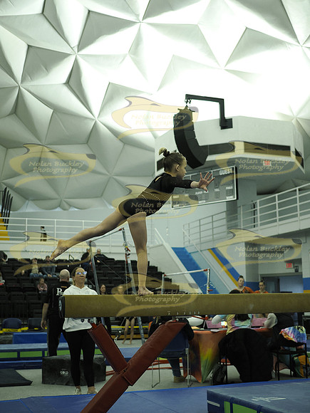 _C061347