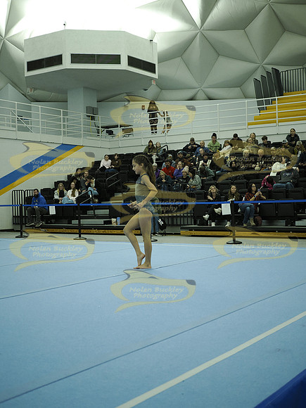 _C062233