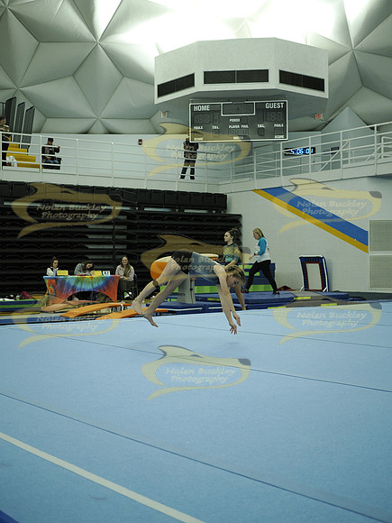 _C062461