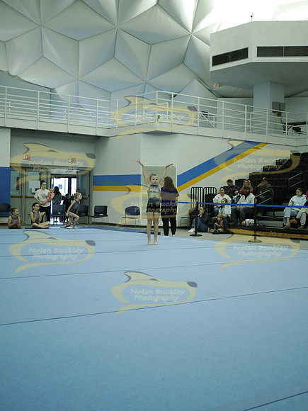 _C074736