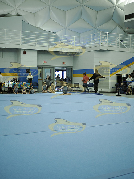 _C074748