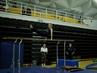 Parallel Bars