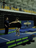 Vault