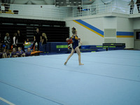 _C061878