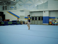 _C060018