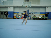 _C060035