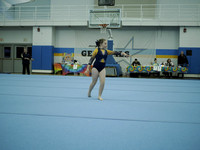 _C060036