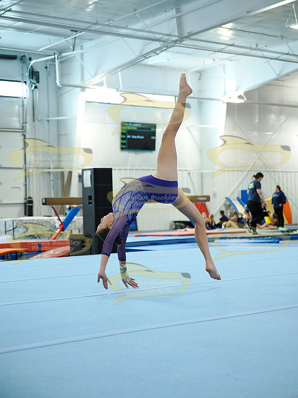 _3218222