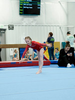 _3222644