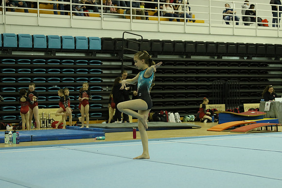 AT9A8950