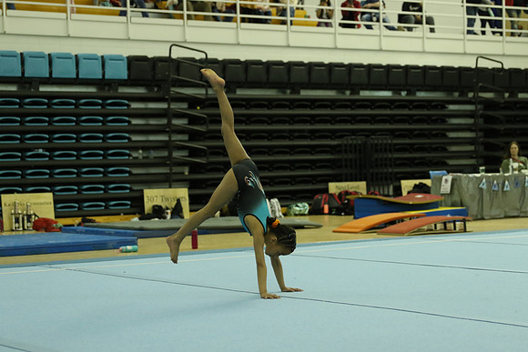 AT9A8702