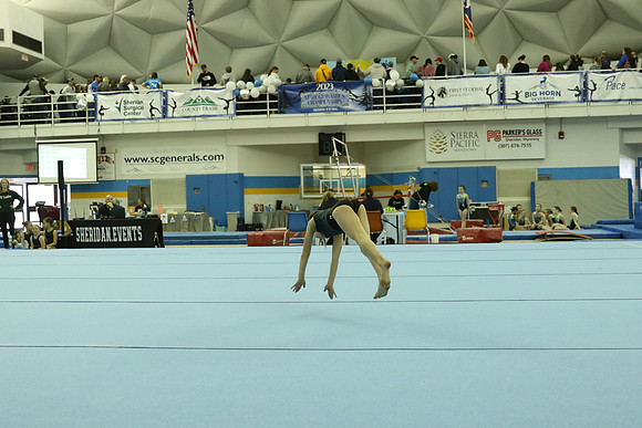 AT9A8528