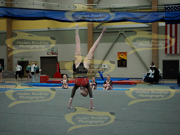 _3151084