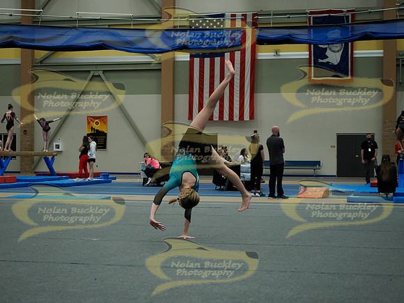 _3151746