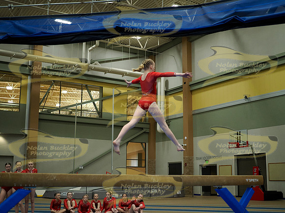 _3153910