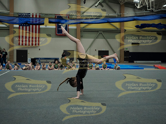_3159505