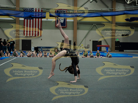 _3159501