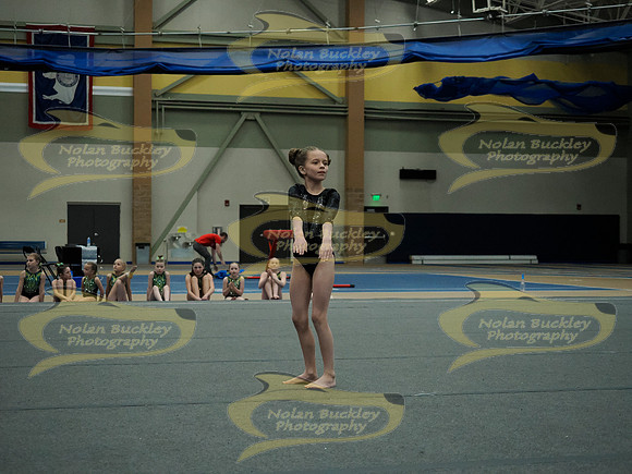 _3159811