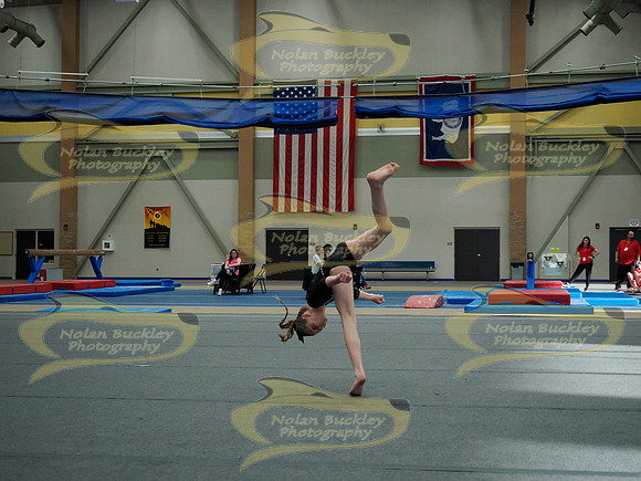 _3150421