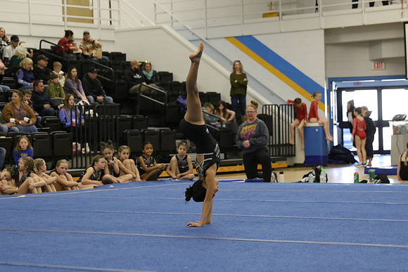 AT9A7371