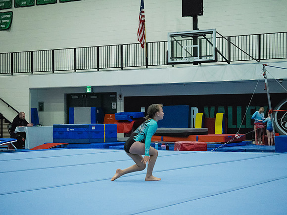 _3220194