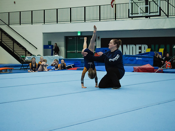 _3222246