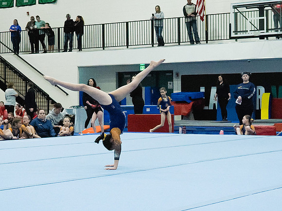 _3220117