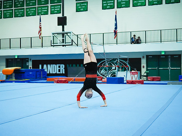_3220499