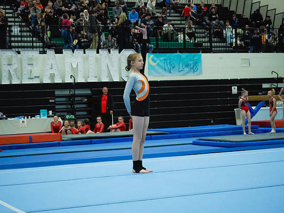 _3232288