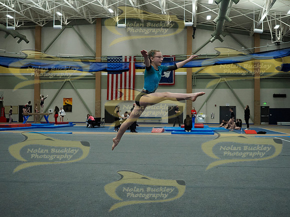 _3151811