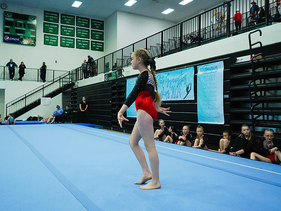 _3231718