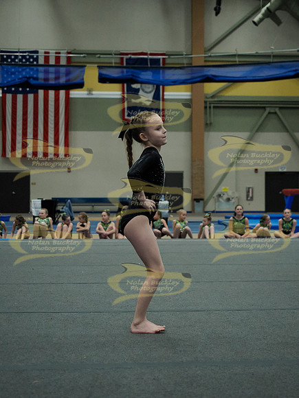 _3159493