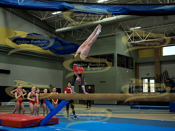 _3153052