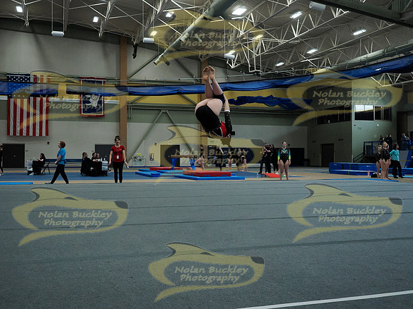_3146202