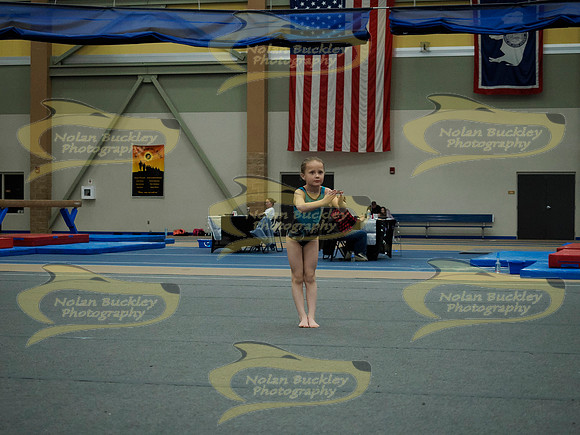 _3157811