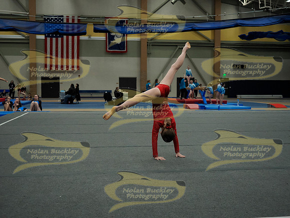 _3141036
